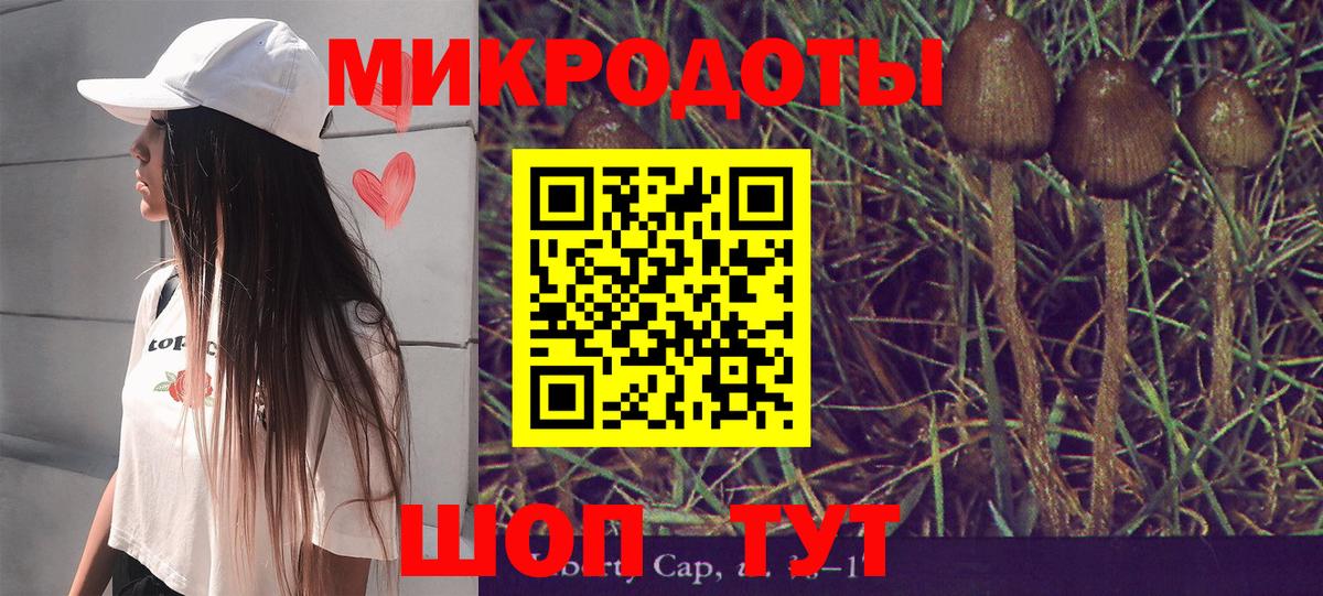 Галлюциногенные грибы Psilocybine cubensis  Вход с VPN  купить наркоту  Вязники  Псилоцибиновые грибы мухоморы 